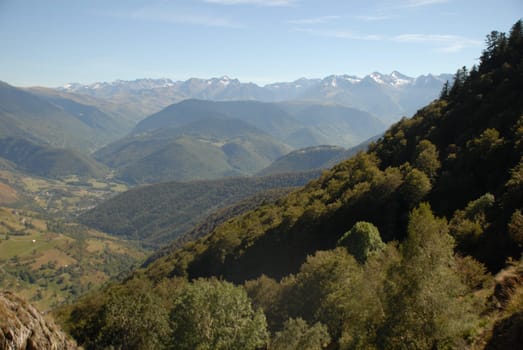Pyrenees