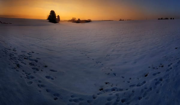 Winter tracks