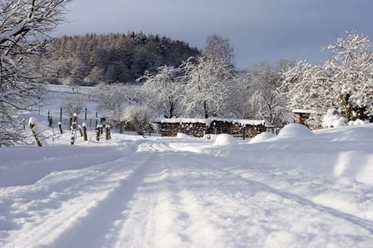Landscape in winter
