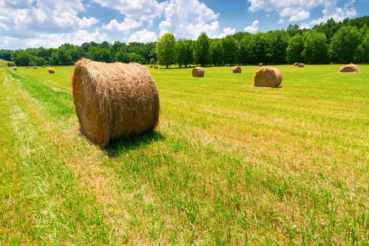 Hay Bales