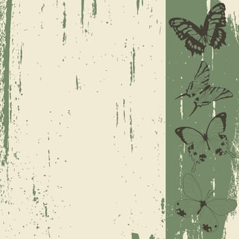 Butterflies sketch