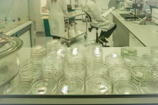 Petri dish with microbes in a research lab Researchers in the background