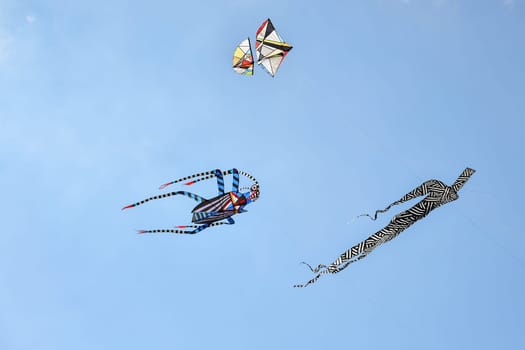 Kite festival. Kites in the sky in the Atlantic ocean