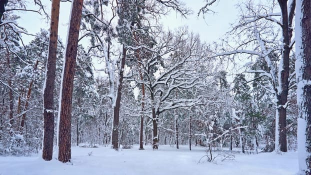 the coldest season of the year, in the northern hemisphere from December to February