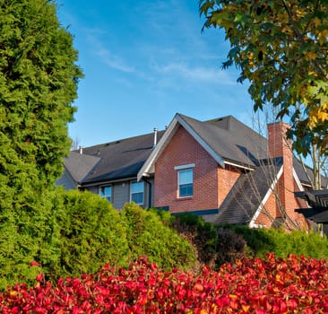 Top of brick residential house above hedge row fence on blue sky background