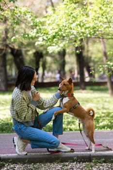 A young woman walks with an African basenji dog on a leash in the park