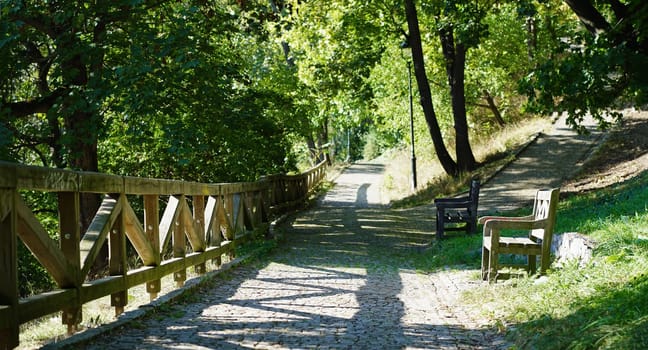 Beautiful city park. Early autumn in the city. Trees and benches for rest in the park