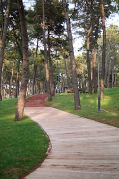 pov shot of walking on walkway at istanbul park at early morning .