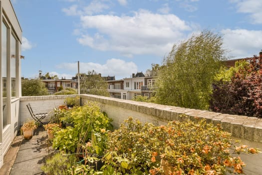 an outside area with flowers and plants in the fore - windowed part of a house on a sunny day