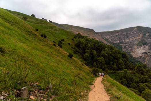 Caucasian mountain. Dagestan. Trees, rocks, mountains, view of the green mountains. Beautiful summer landscape