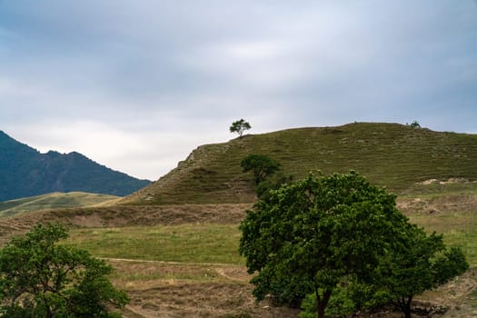 Caucasian mountain. Dagestan. Trees, rocks, mountains, view of the green mountains. Beautiful summer landscape