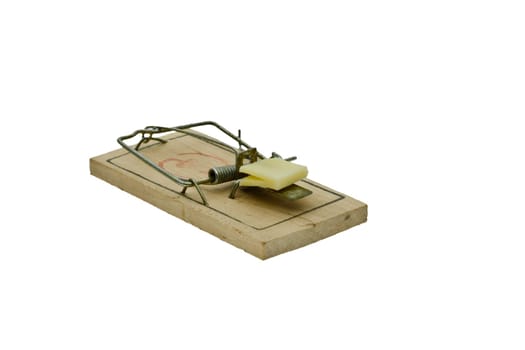 Mousetrap with cheese