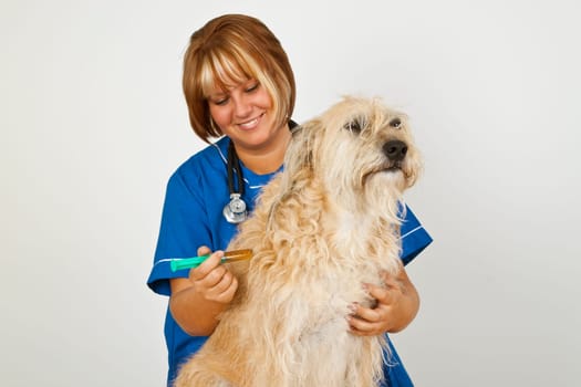 Veterinarian