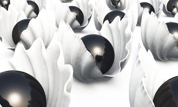 Black pearls in white shells