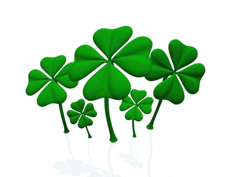 Lucky Clover of Lady Luck 03