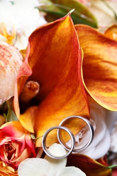 Wedding Rings