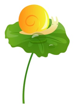 a snail on a lotus leaf