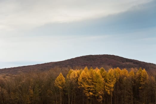 Autumn mood
