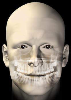 male figure dental scan
