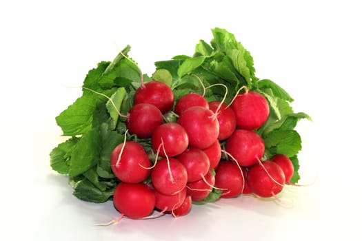 Radish