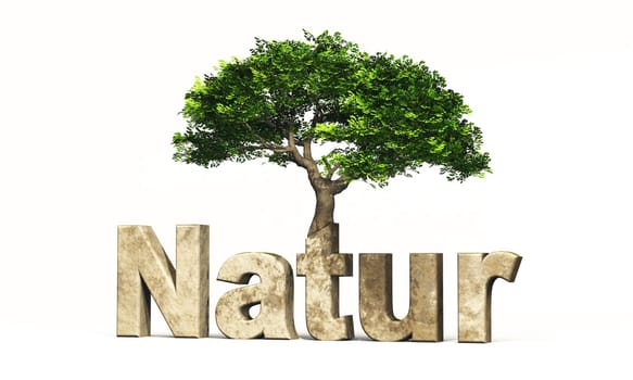 3D Nature Font with Tree
