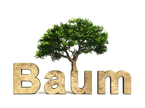 3D Tree Font with Tree