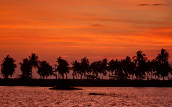 Sunrise