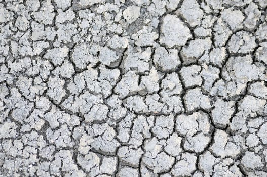 Cracked Ground