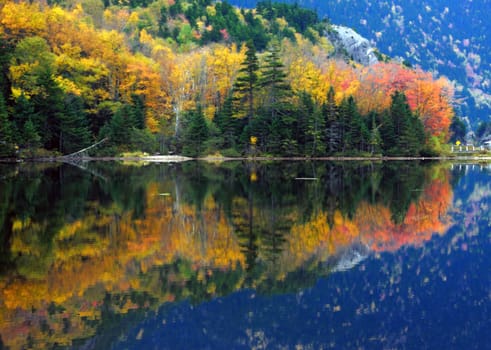 Autumn Foliage