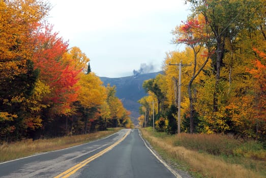 Autumn Foliage