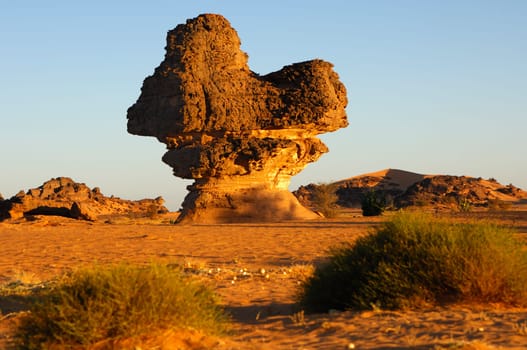 Rock mushroom in the Akkakus Mountains,Libya