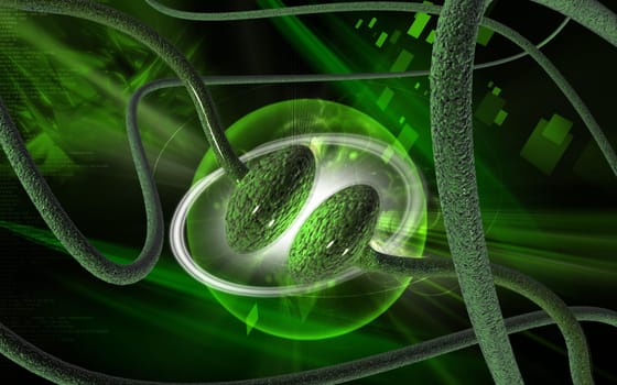 Synapse