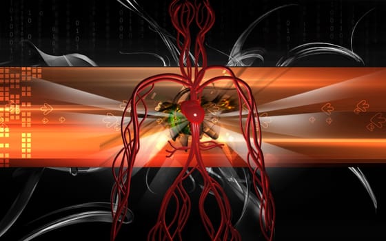 Vascular system