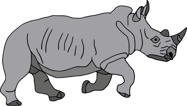 Rhino
