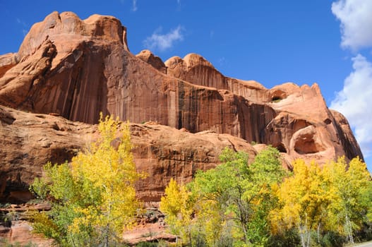 Poison Spider Mesa in the Fall
