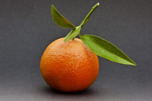 Clementine......