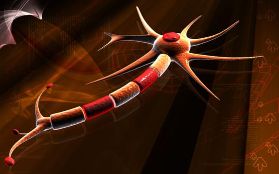 Neuron