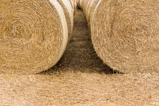 Straw bales in series