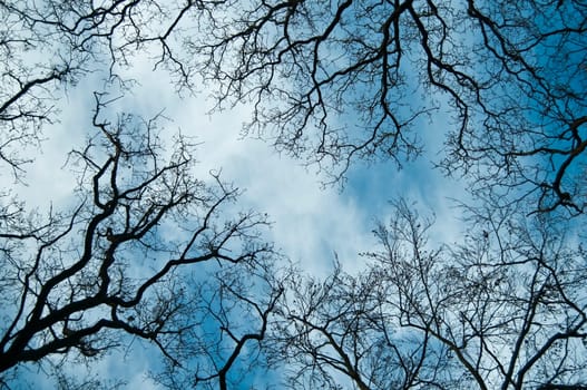 sky or heaven