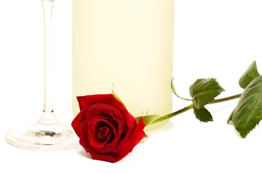Sparkling wine with red rose and Prosecco bottle