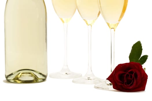 Champagne Cellar with Red Rose and Champagne Bottle
