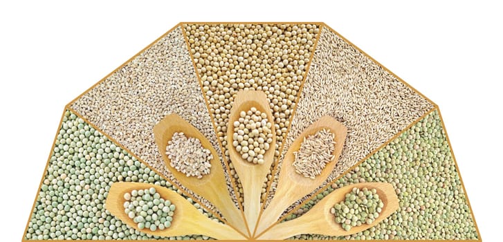 Collage of dry lentil, pea, soybean, oat and barleycorn