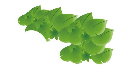 a group of leaves