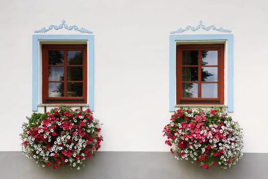 close-up two wood old windows with flowers