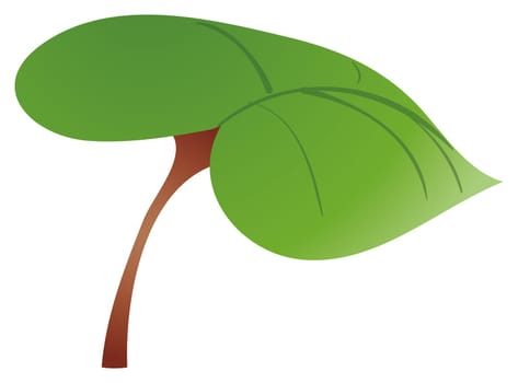 leaf