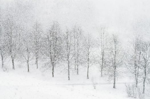 Heavy snowfalling