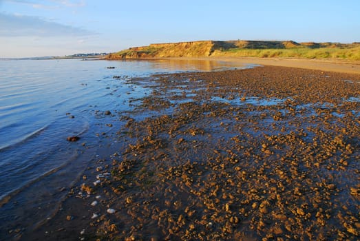Beach at low tide