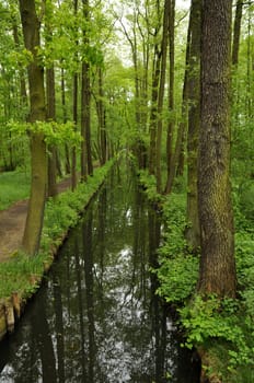 typical Spreewald...