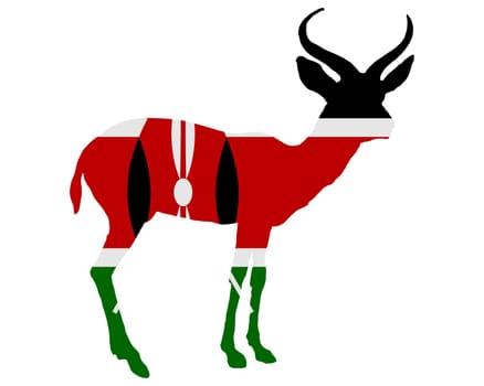 Kenya Antelope
