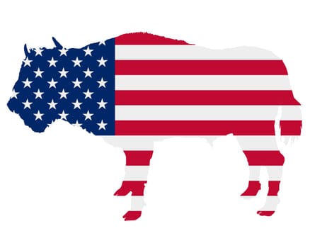 USA flag with bison